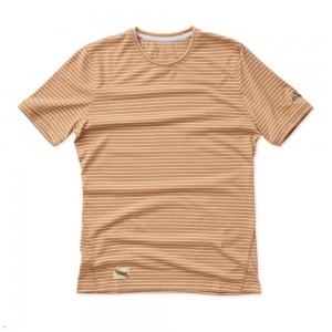 Brown Tracksmith Horizon Men's Tee Australia | NIWJ-76189