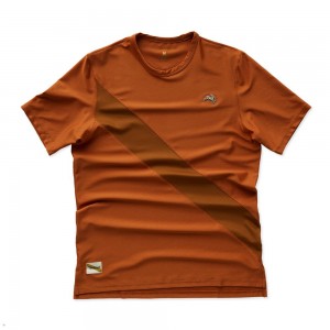 Brown Tracksmith Van Cortlandt Men's Tee Australia | WONE-37148