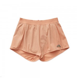 Orange Tracksmith Session Speed Women's Shorts Australia | FTLX-08364