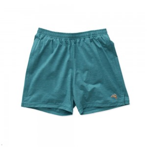 Turquoise Tracksmith Session Men's Shorts Australia | ZFCE-52670