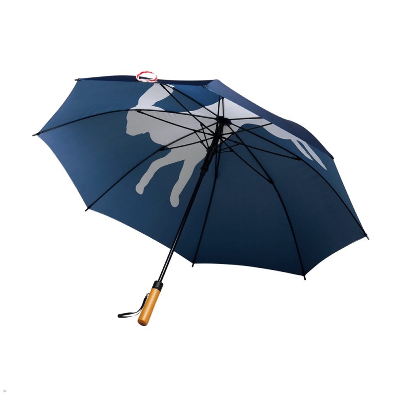 Blue Tracksmith Umbrella Other Accessories Australia | SJPT-47258