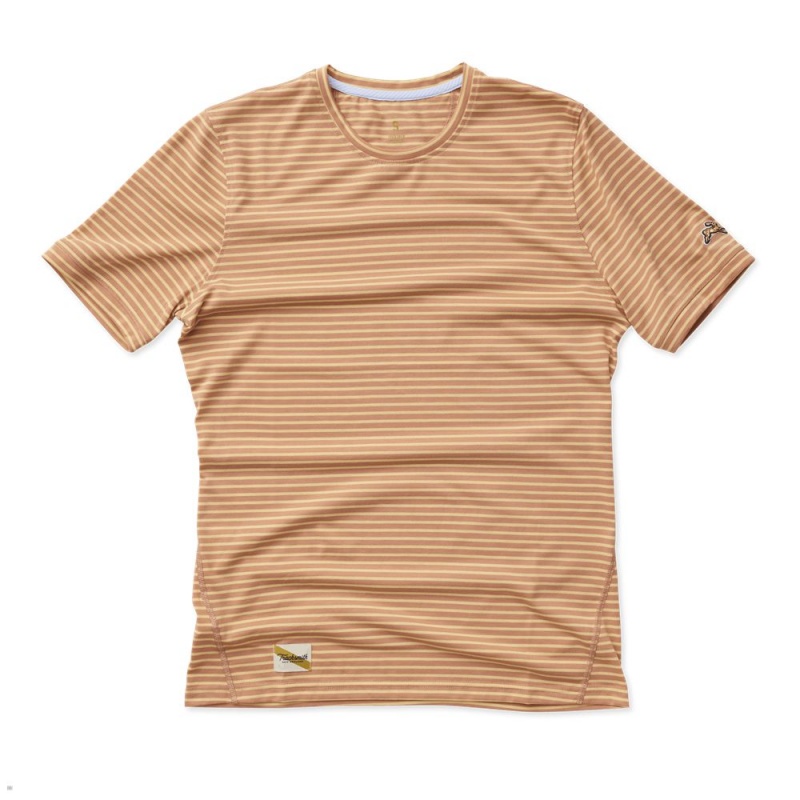 Brown Tracksmith Horizon Men\'s Tee Australia | NIWJ-76189