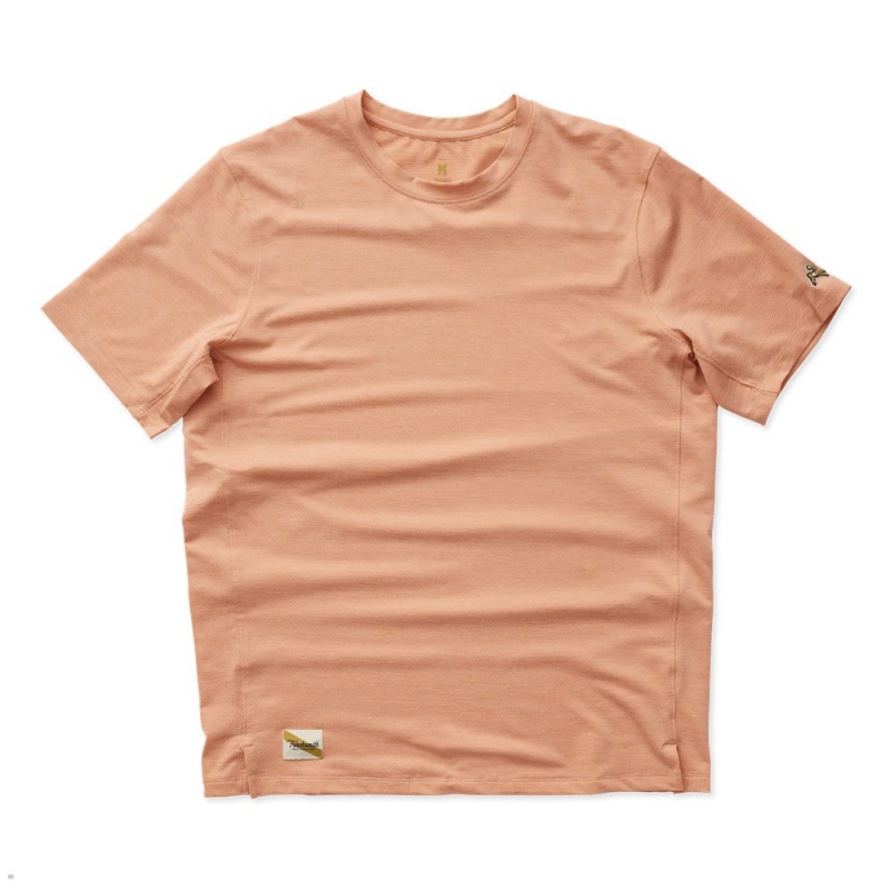 Orange Tracksmith Session Men\'s Tee Australia | LMBG-42689